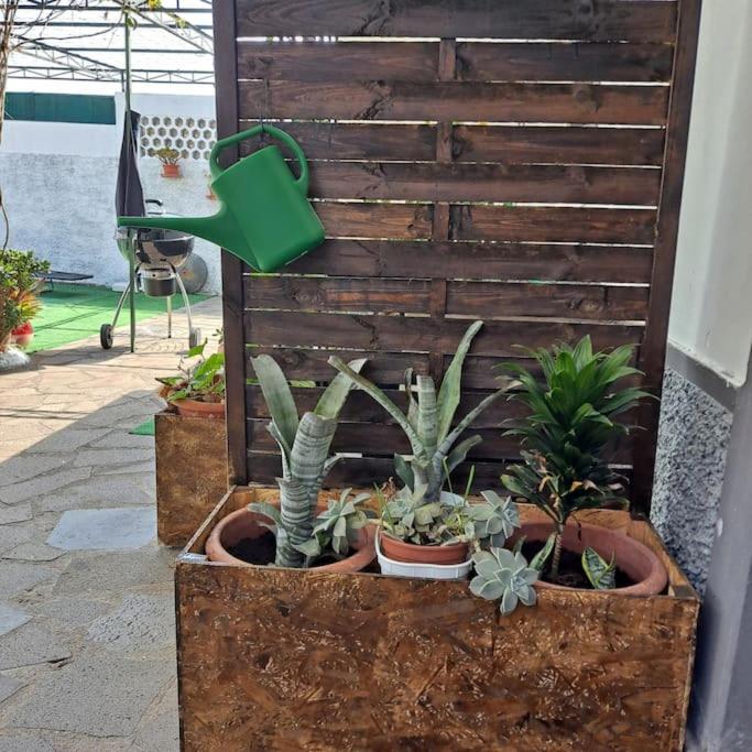 Chale Funchal - City View エクステリア 写真